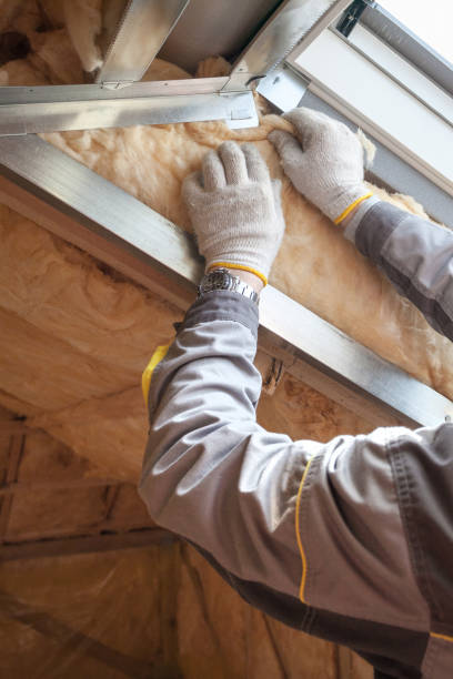 Best Insulation for New Construction  in Farmer City, IL